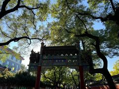 -北京国子监胡同