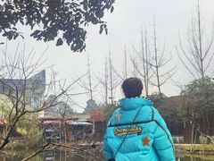-洪湖家庭农场·团建·露营·会议