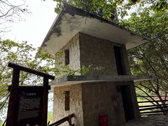 -华侨城湿地公园