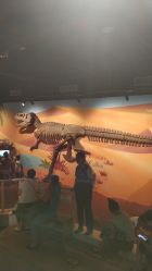 点击看大图 -北京科学中心儿童乐园