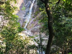 -花岩国家森林公园