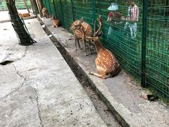 -武陵山森林公园