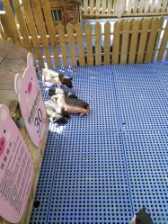 -萌宠亲子动物乐园(槐房万达店)