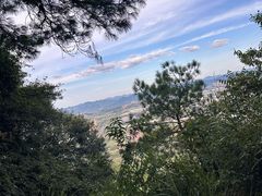 -铁山坪森林公园