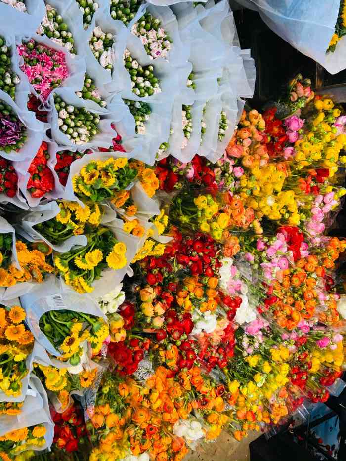 明珠花卉市场图片