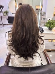 -Show fa salon 秀发沙龙