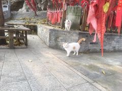 -北京灵山风景区