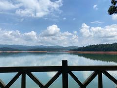 -广州市流溪河国家森林公园