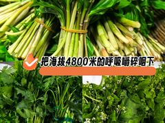 -三锅莊·牦牛肉火锅·香格里拉特色藏餐宴请餐厅(昆明创始店)
