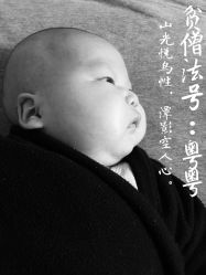 -龙文宝贝上门婴儿理发满月剃胎毛(总店)