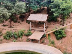 -石家庄市动物园