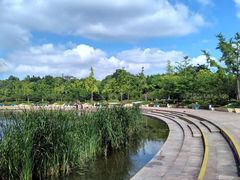 -新江湾城公园