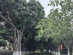 -厦门大学(思明校区)