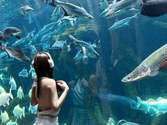 -波塞冬旅游度假区