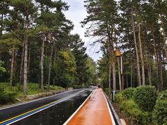 -长春市南湖公园