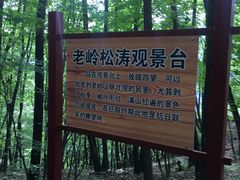 -五女峰国家森林公园