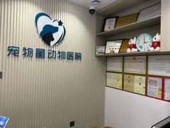 -宠物星动物医院·眼科·异宠·猫科(江南大道总院)