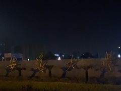 -安徽大学(磬苑校区)