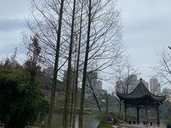 -重庆彩云湖湿地公园