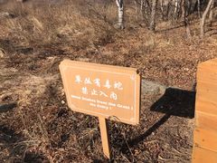 -白草畔自然风景区