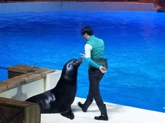 -波塞冬旅游度假区