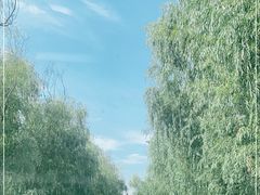 -西安祥峪森林公园