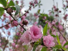 -广州市白云山风景名胜区
