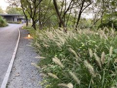 -木守西溪溪隐餐厅