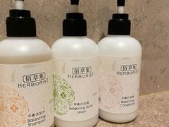 -齐河孔雀王温泉酒店·金孔雀自助百汇