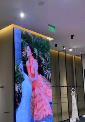 -MuseMarry婚纱(前海嘉里中心店)