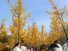 -白鹿原影视城