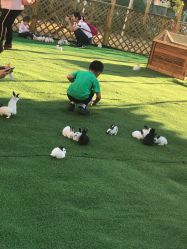 -萌宠亲子动物乐园(槐房万达店)