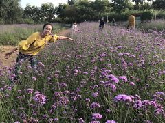 -石家庄市植物园