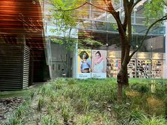 -星巴克(上海虹桥新天地二店)