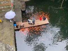 -千岛湖东南湖区