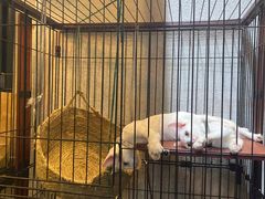 -七叔是岛民(花基新村店)