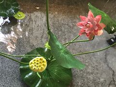 -芭缇沁园椰子鸡(中航紫金新天地店)