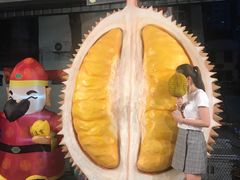 -都念榴莲·城市榴莲