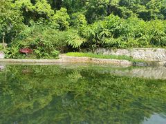 -成都市活水公园