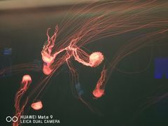 -多彩贵州城极地海洋世界