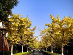-虹御轩·传承江浙菜(虹桥店)