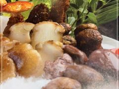 -名善山珍·野生菌汤锅(文殊院店)