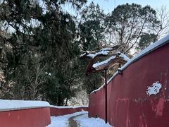 -潭柘寺景区