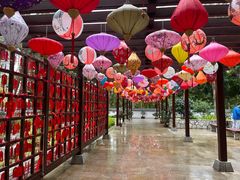 -深圳国际园林花卉博览园