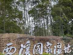 -西溪国家湿地公园