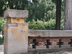 -保定市动物园