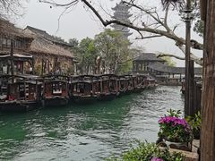 -乌镇西栅景区