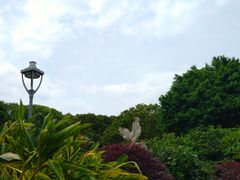 -金鸡山公园