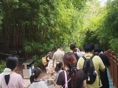 -重庆彩云湖湿地公园