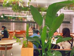 -老乡鸡(上海白玉兰广场店)